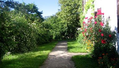 Jardin
