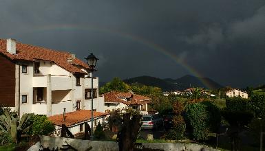 ARBOLIZ