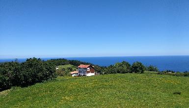 ARBOLIZ