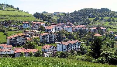 ARBOLIZ