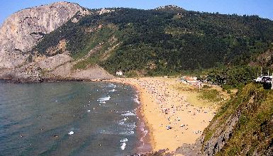 ARBOLIZ