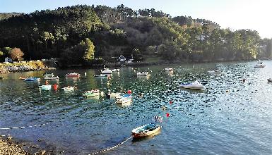 ARBOLIZ