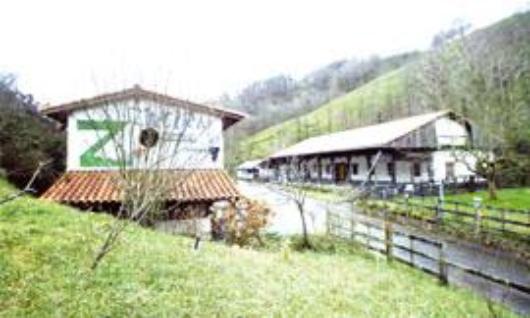 Zingira