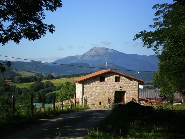 Panoramic view