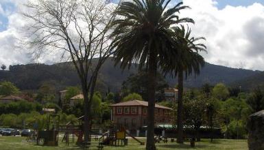 Las Palmeras