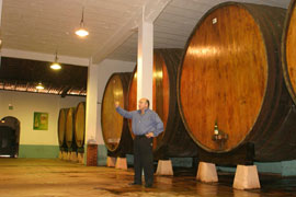 Barrels of the Zelaia cider house