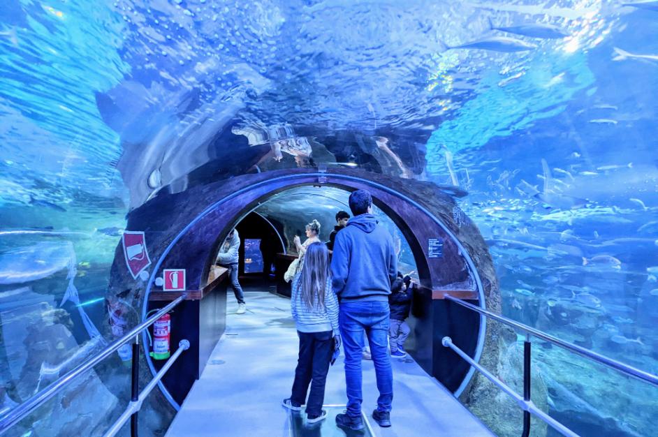 Aquarium de San Sebastián