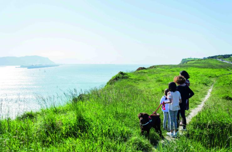 Die besten Pl�ne mit Hunden