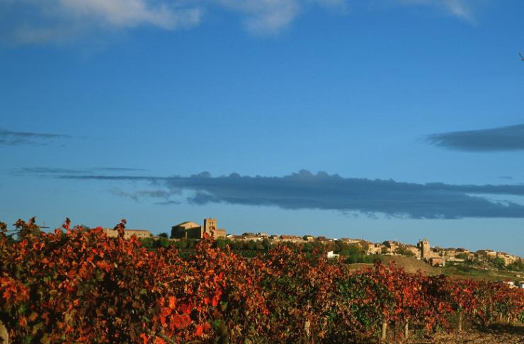 Rioja Alavesa