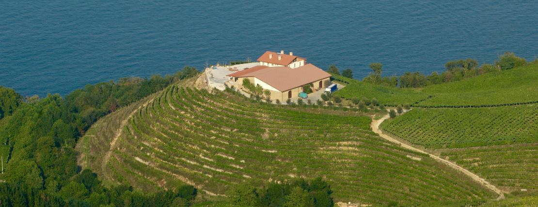 Bodega de Txakoli