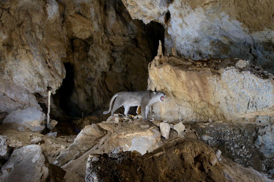 Cuevas de Arrikrutz