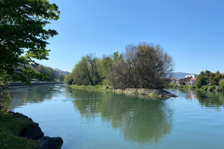 Isla de los Faisanes