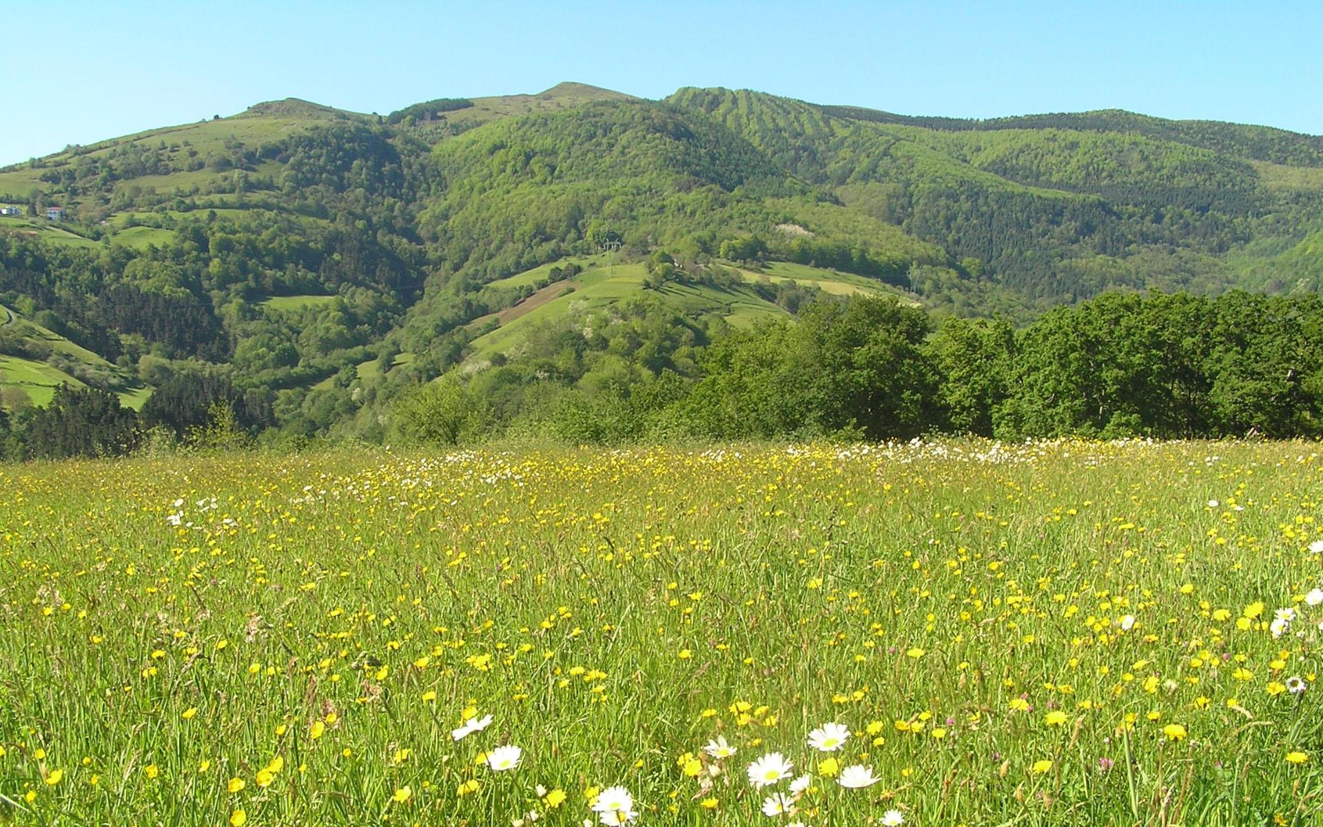 Parque Natural de Pagoeta