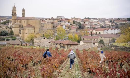 Elciego
