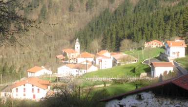 Beizamaren ikuspegi orokorra
