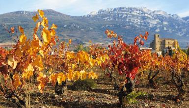 Route du vin