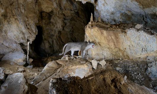 Les Grottes dArrikrutz
