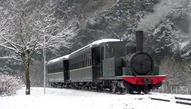 Tren a vapor