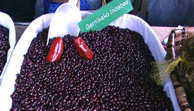 Gernika beans