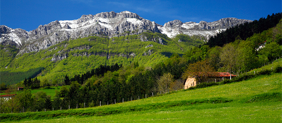 Zegama