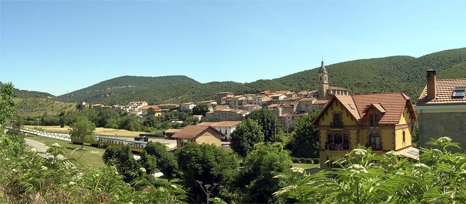 Bide berdea