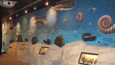 Centro de Interpretación Geológica Nautilus 