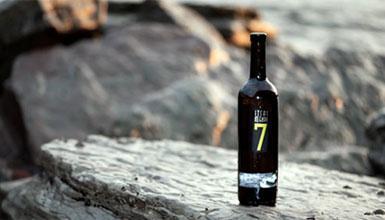 Itsasmendi Nº 7