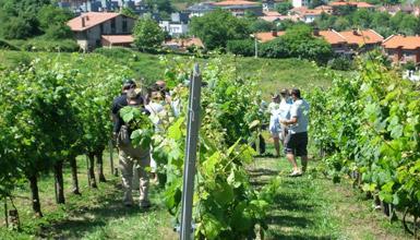 Txakoli en Bakio