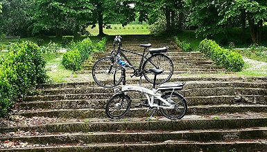 Enjoy a cycle ride among vineyards