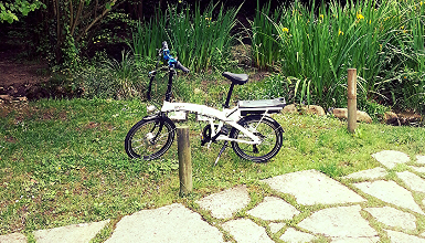 Enjoy a cycle ride among vineyards