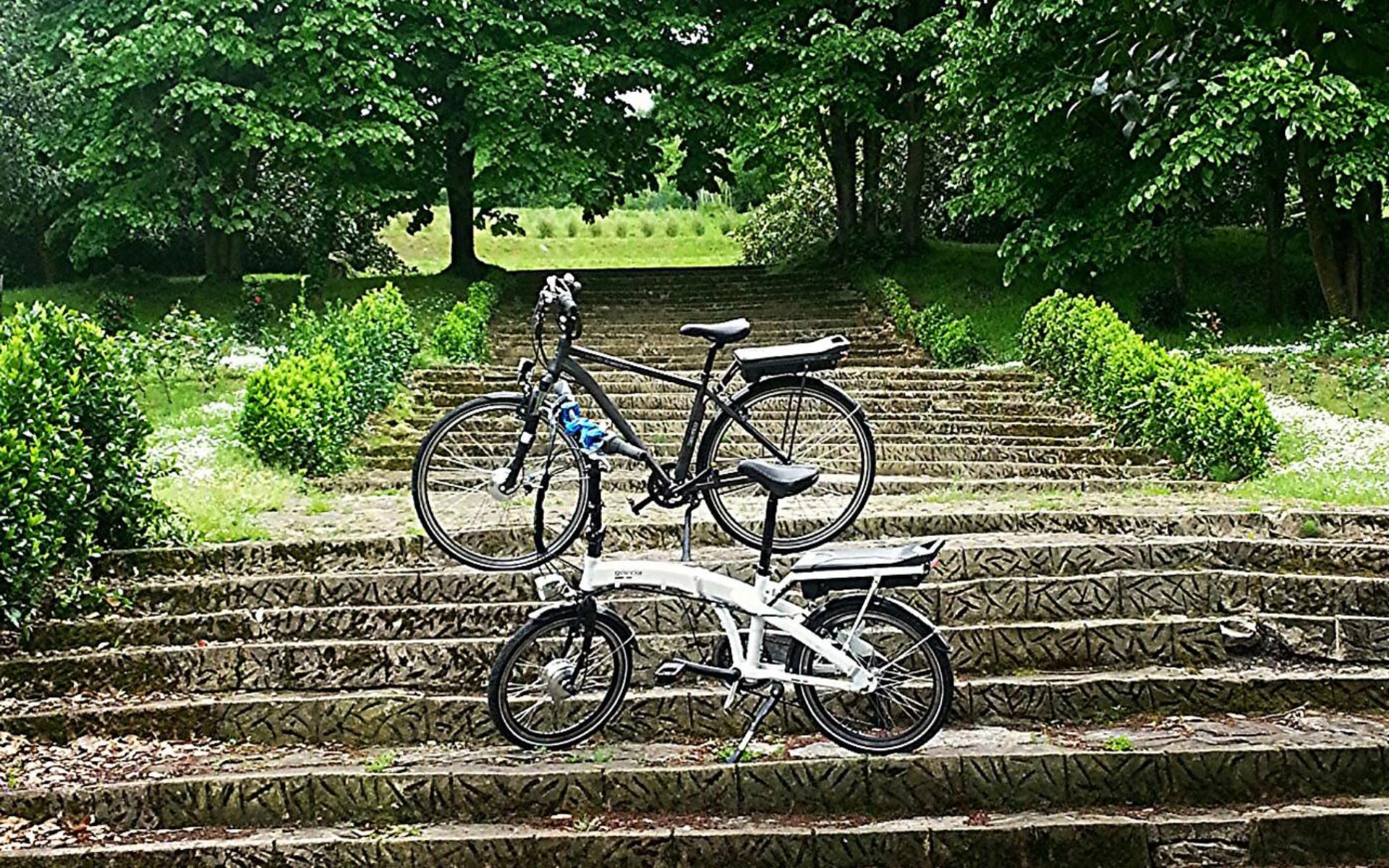 Enjoy a cycle ride among vineyards.