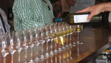 Txakoli de Bakio Visita y cata en bodega