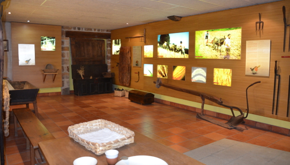Elaboración de pan en un molino del siglo XVI