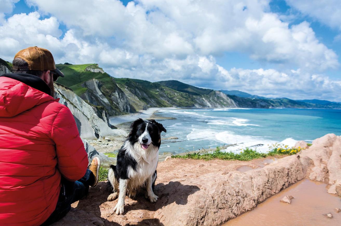Le Flysch avec a chien