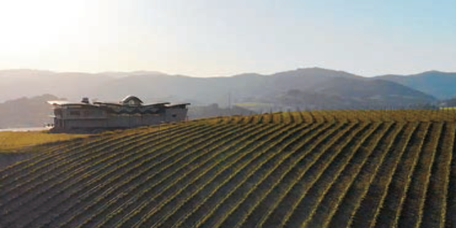 Bodega Hika
