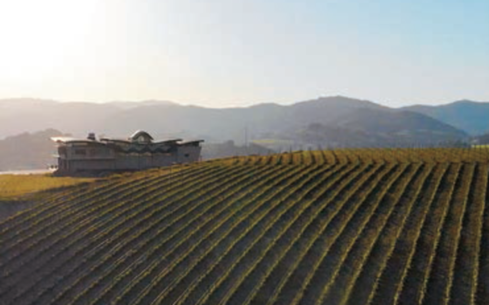 Hika Bodega