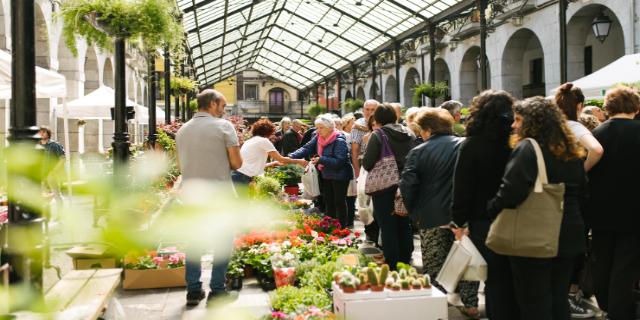 Mercado de Tolosa 