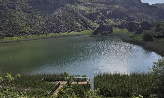 La Arboleda 
