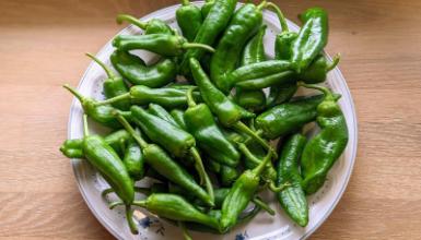 Pimientos 