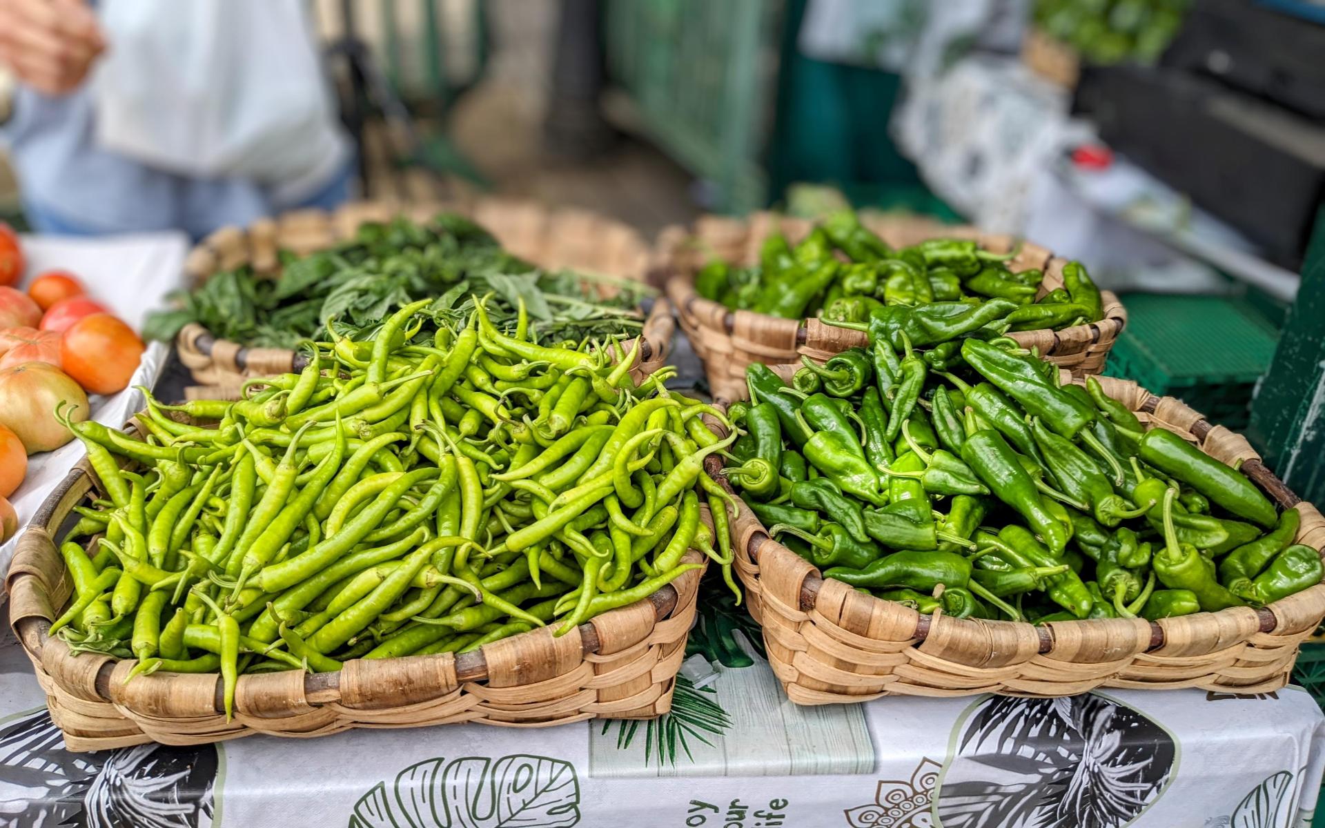 Zumarraga Market
