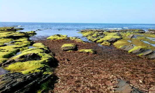 Playa de Ogeia 