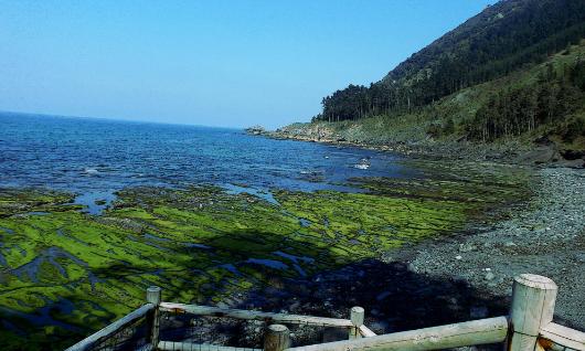 Playa de Ogeia 