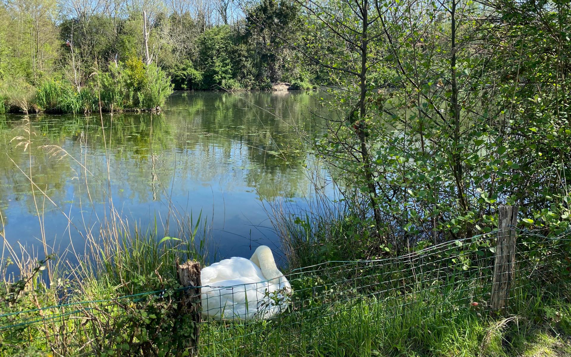 Parque Ecológico de Plaiaundi
