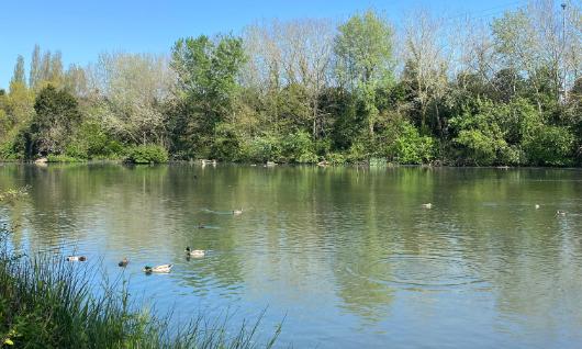 Parque Ecológico de Plaiaundi