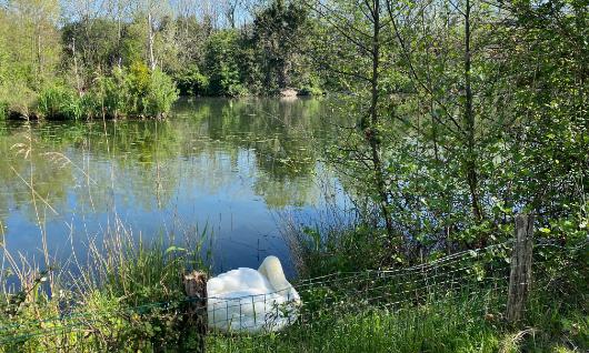 Parque Ecológico de Plaiaundi