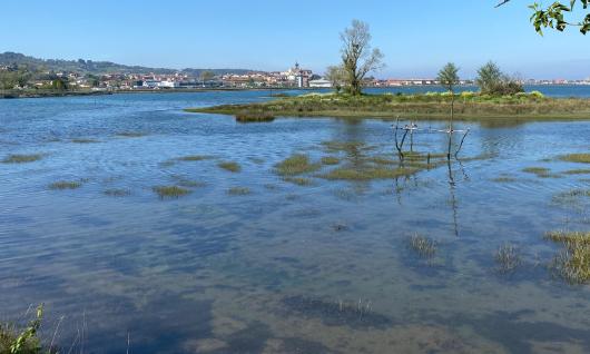 Parque Ecológico de Plaiaundi