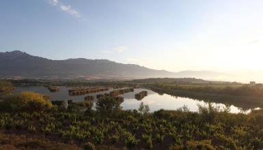Lagunes de Laguardia