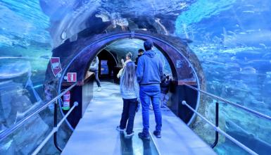 Aquarium de San Sebastián