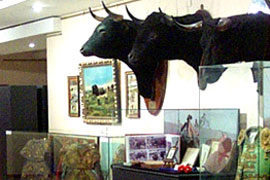 Museo Taurino de Bilbao