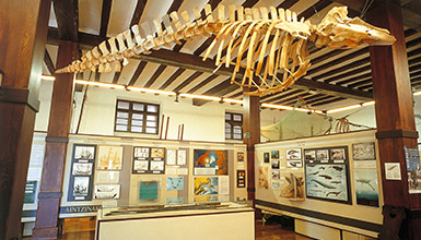 Fisherman's Museum